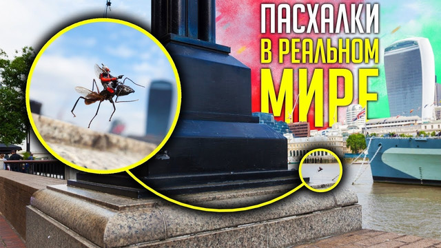 [Easter Eggs] Забавные Пасхалки в Реальном Мире