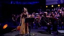 Викинги сюита Vikings Suite
