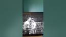 Jerry Lewis was a legend #shorts