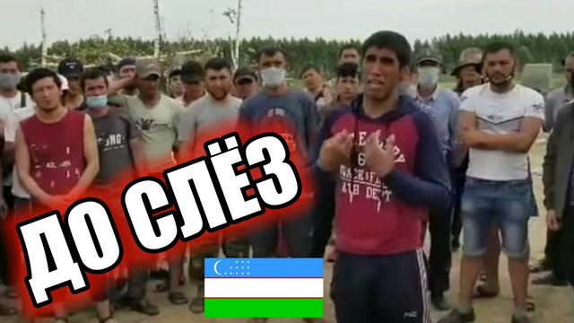 Срочно! узбеки плачут и умоляют открыть границу казахстан россия