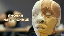 Невероятно интересные факты о нашем теле