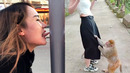 BAD DAY? Better Watch This 1 Hours Best Funny & Fails Of The Year 2024 Part 7
