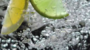Sprite — salqinlik zarbasi