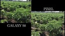 Samsung Galaxy S8 Vs Google Pixel Camera Test