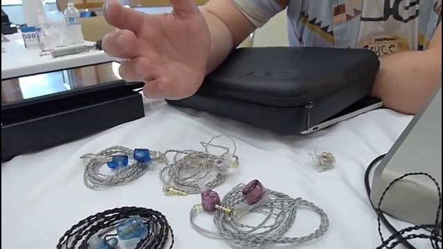 2013 Head-Fi Meet, Ultimate Ears