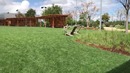 Офис Facebook и Instagram в США, Кремниевая долина. Аквариум Цукерберга