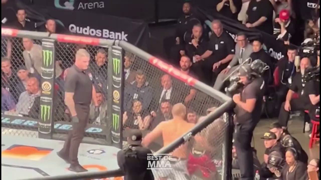Царукян, Джо Роган и звёзды UFC дают финальные прогнозы на бой Хамзат vs Стрикленд