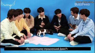 [RUS SUB] BTS Plays With Puppies While Answer Fan Questions