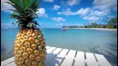 5 Самых СТАТУСНЫХ Вещей Средневековья
