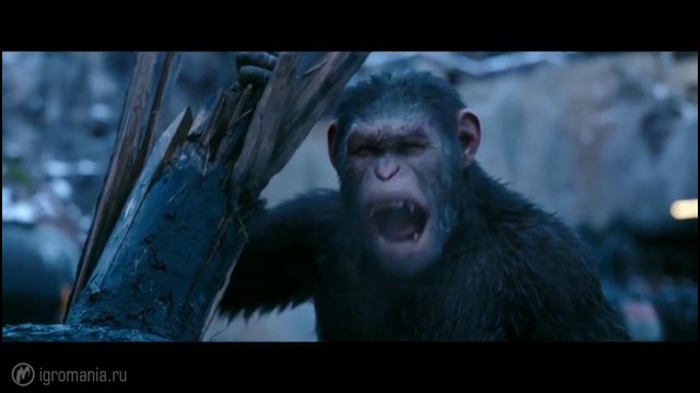 Планета обезьян: Война – Зрелищное кино со СМЫСЛОМ (Обзор)