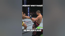 UFC Fighter Robert Whittaker is Relentless!! #mma #ufc308