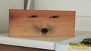 Annoying Orange – BORED