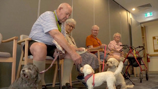Учёные: собаки и кошки полезны для здоровья жителей домов престарелых