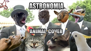 Coffin Dance but it’s sounds like animals [Tony Igy – Astronomia (Animal Cover)]