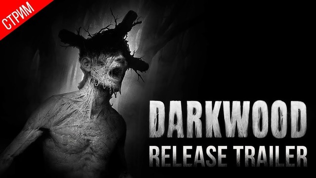 Вечер хорроров ● darkwood #1