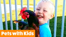 Funniest Kids and Animals | Funny Pet Videos