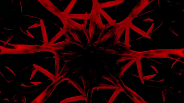 Whitechapel – ‘Doom Woods’ (Official Video 2020)