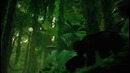 Ancestors Cinematic