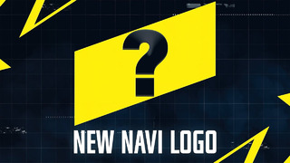 New NAVI Visual Style