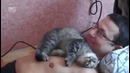 Как кошка любит своего хозяина