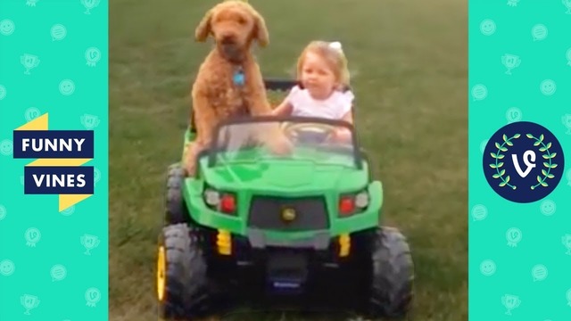 TRY NOT TO LAUGH – Cute Kids & Pets Funny Videos January 2019