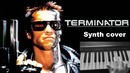 The Terminator (Cover)