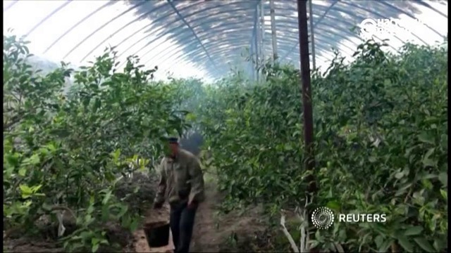 Бизнес в Узбекистане