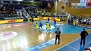 Собака гоняется за котом на баскетбольном матче