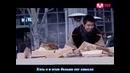 Position(포지션) – I Love You рус. саб