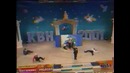 Новогодняя сказка КВН