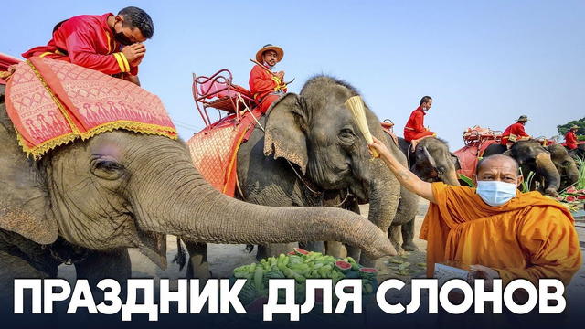 Пиршество в День слона устроили в Таиланде