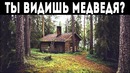 Сможете ли вы найти спрятанных на картинках животных