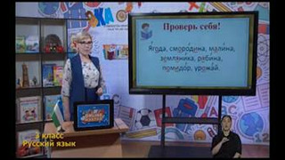 Русский язык 3 класс РУС (100)