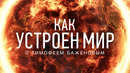 Самые милые и неприятные животные. Как устроен мир (17.06.20)