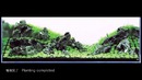 Takashi Amano |ADA view| 180cm aquarium tank with Ryuoh stone and Wabi-kusa