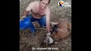 Мужчина спас волчицу от жажды