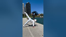 Double handstand