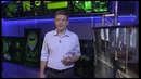 Большой мобильный репортер от 22.09.18 г
