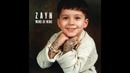 ZAYN – like i would (audio)