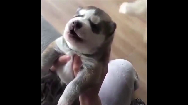 Unusual Memes Compilation v64