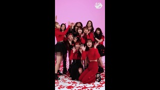 [Relay Dance] IZ*ONE – La Vie en Rose (라비앙로즈)