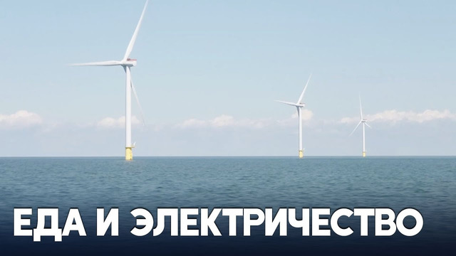В Балтике ветропарки становятся ещё и морскими фермами