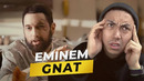 Разбор песни eminem – gnat с веней пак i linguatrip tv