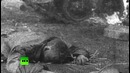Победители – Николай Чернов, 90 лет