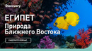 Египет | Природа ближнего востока | Discovery