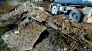 Для качественной высадки деревьев подготавливают почву