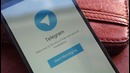 Новости Apple, 155: продажи компьютеров Mac, iPhone 7 и Telegram