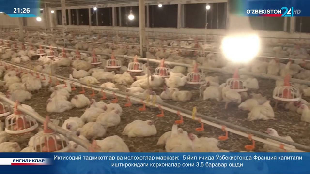 Паррандачилар форуми бўлиб ўтди