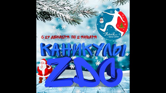 Новогодняя вечеринка в ZDC