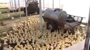 Армия утят